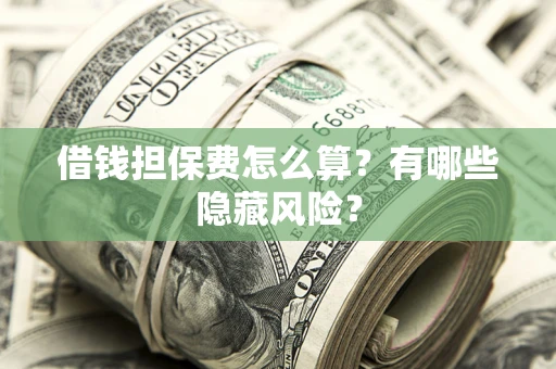 武汉借钱担保费怎么算？有哪些隐藏风险？