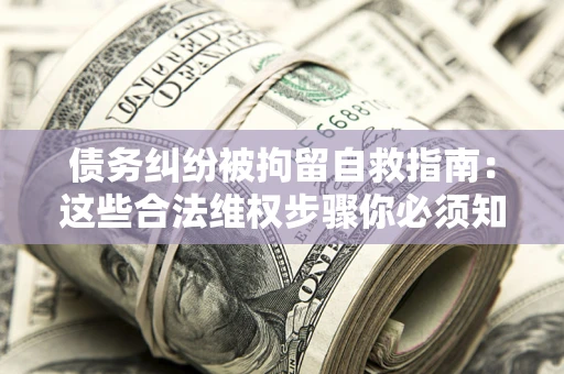 武汉债务纠纷被拘留自救指南：这些合法维权步骤你必须知道！
