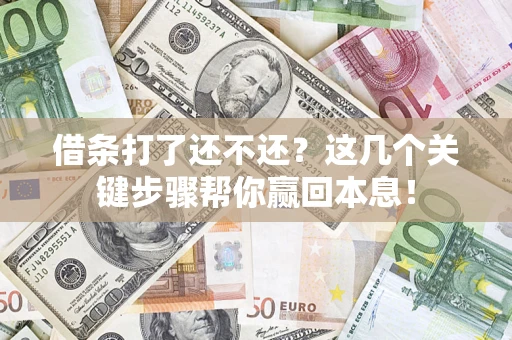 武汉借条打了还不还？这几个关键步骤帮你赢回本息！