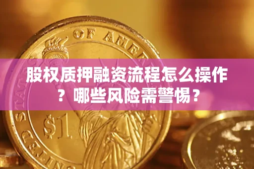 武汉股权质押融资流程怎么操作？哪些风险需警惕？