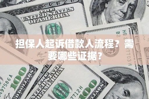 武汉担保人起诉借款人流程？需要哪些证据？