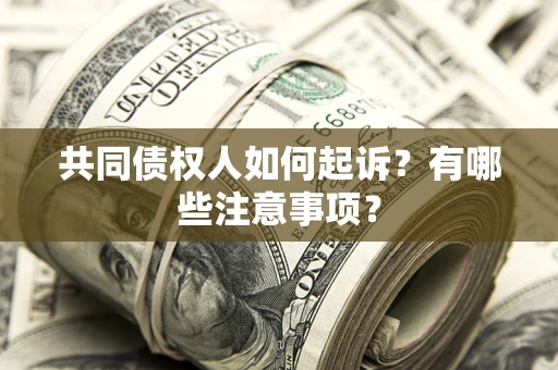 武汉共同债权人如何起诉？有哪些注意事项？