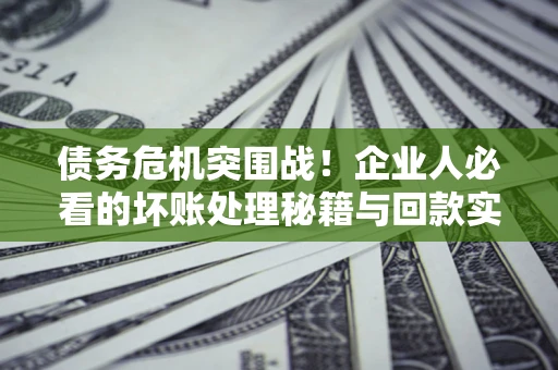 武汉债务危机突围战！企业人必看的坏账处理秘籍与回款实战指南